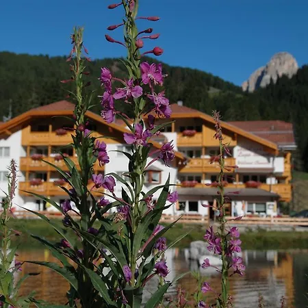 Wellness Lupo Bianco Szálloda 4*